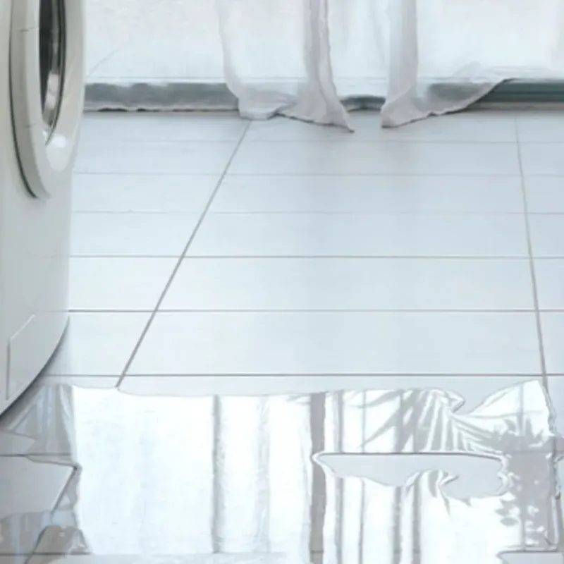 Appliance Leak Cleanup in Dodge City, KS