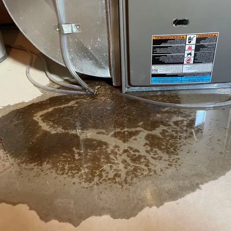 Pipe Burst and Leak Restoration in Dodge City, KS