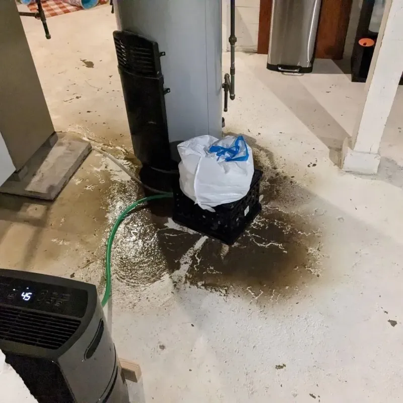 Sewage Backup Cleanup Service in Dodge City, KS